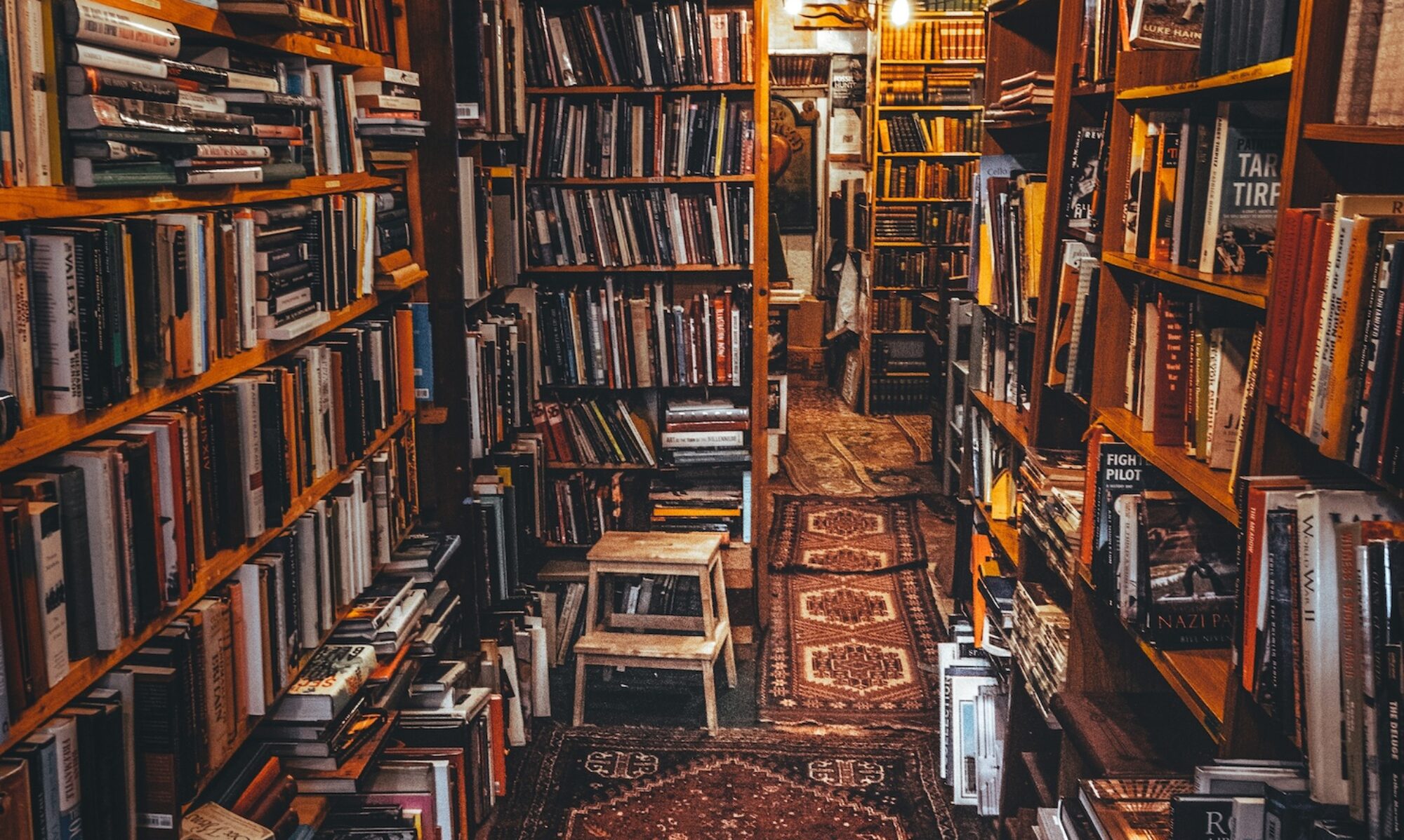 Photo by Norbert Tóth on Unsplash.